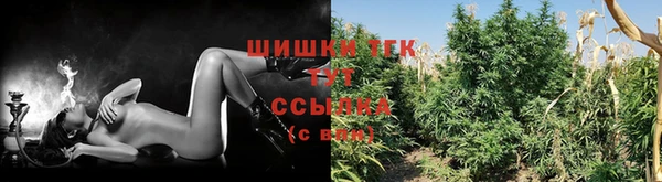 apvp Коряжма