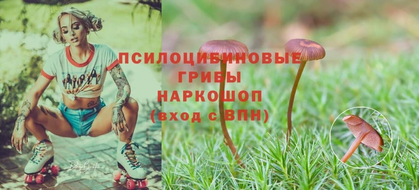 apvp Коряжма