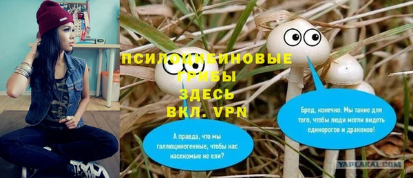 apvp Коряжма