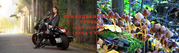 apvp Коряжма