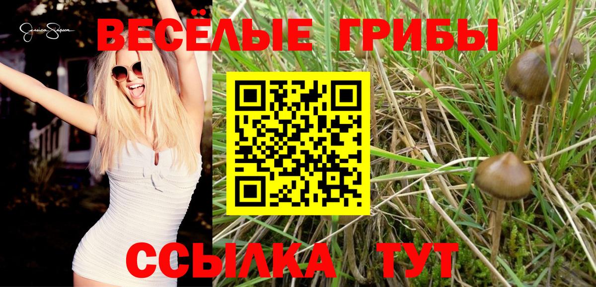 Псилоцибиновые грибы Psilocybine cubensis Оренбург